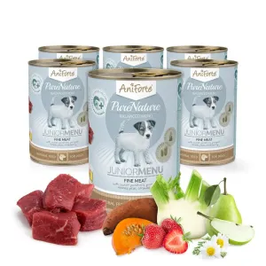 AniForte PureNature Junior Beef Wet Food