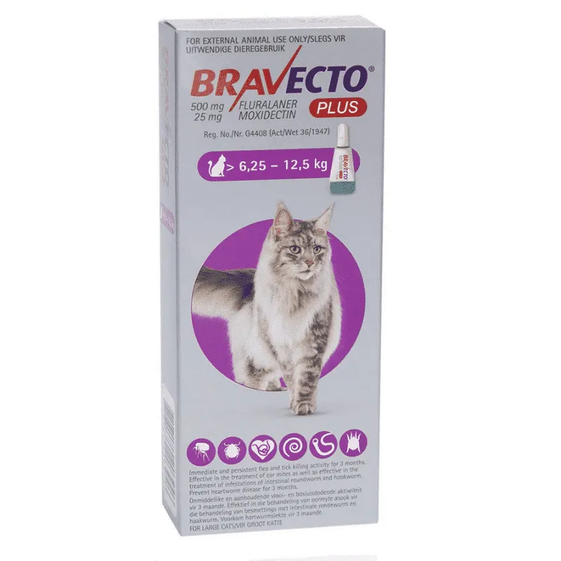 Bravecto plus cat 6.25-12.5kg