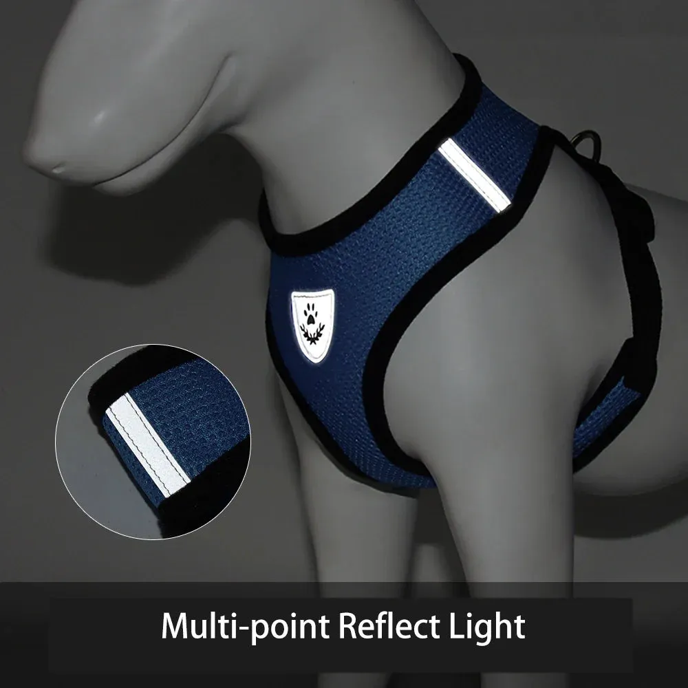 Breathable Reflective Small Dog Harness with Adjustable Lead