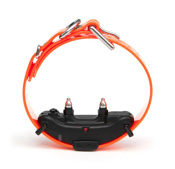 Dogtra ARC additional receiver