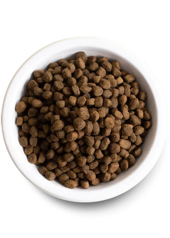 Small Breed Grain-Free Dry Dog Food